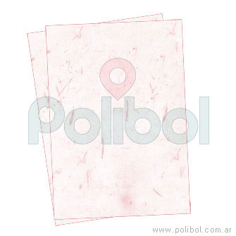 Papel A4. Motivo: Pétalos rosa. x25