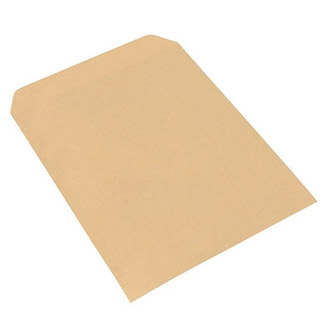 Sobre Kraft papel madera 22,9 x 32,4 cm.