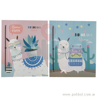 Carpeta N3 Llama