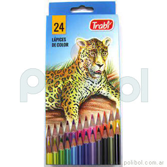 Lápices de colores largo x 24