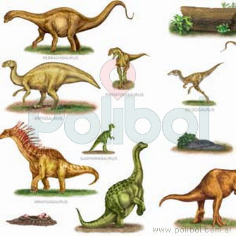 Cartulina Entretenida de dinosaurios y tronco